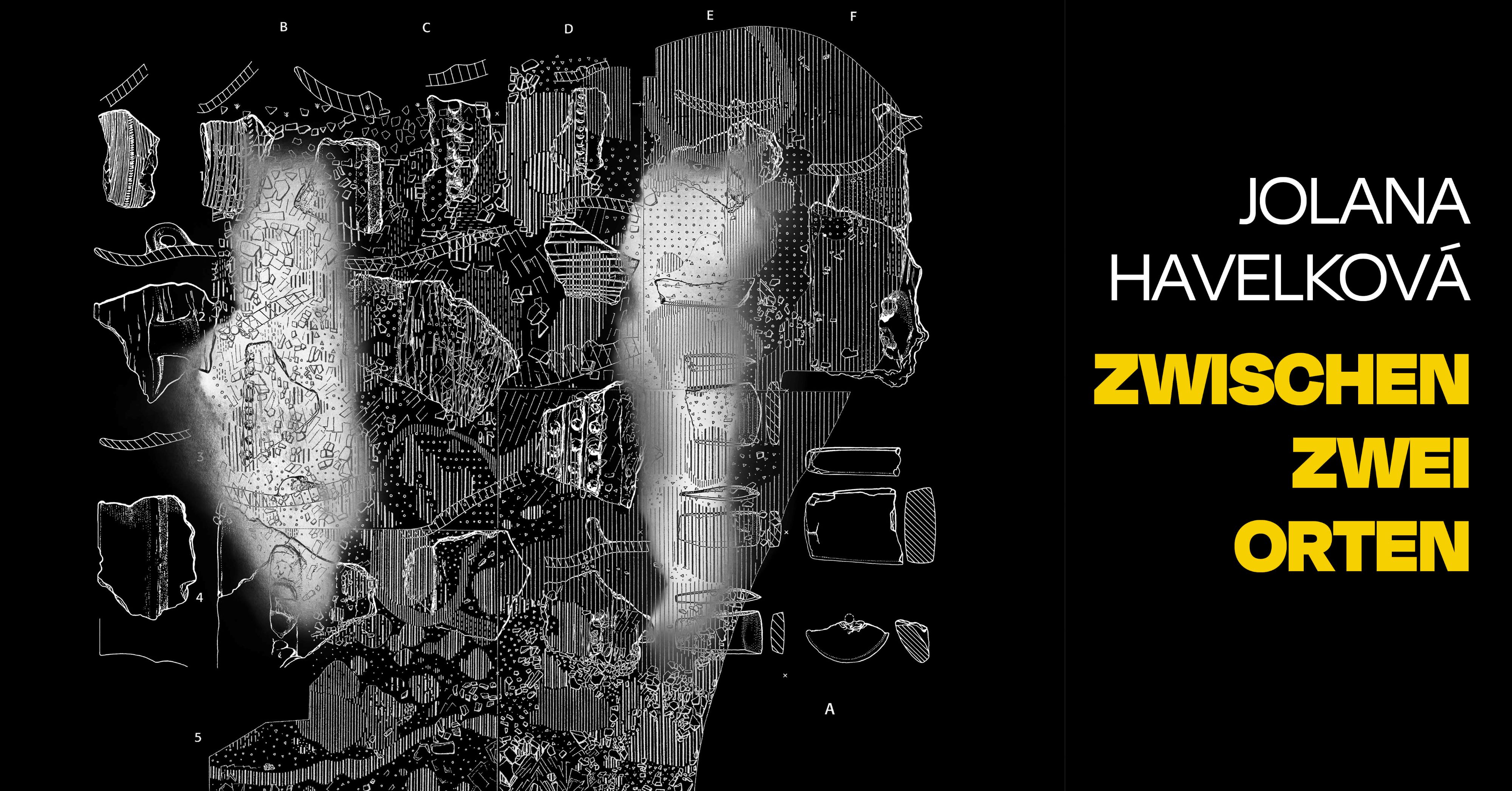 Pozvánka na komentovanou prohlídku výstavy Jolany Havelkové v Domě Gustava Mahlera